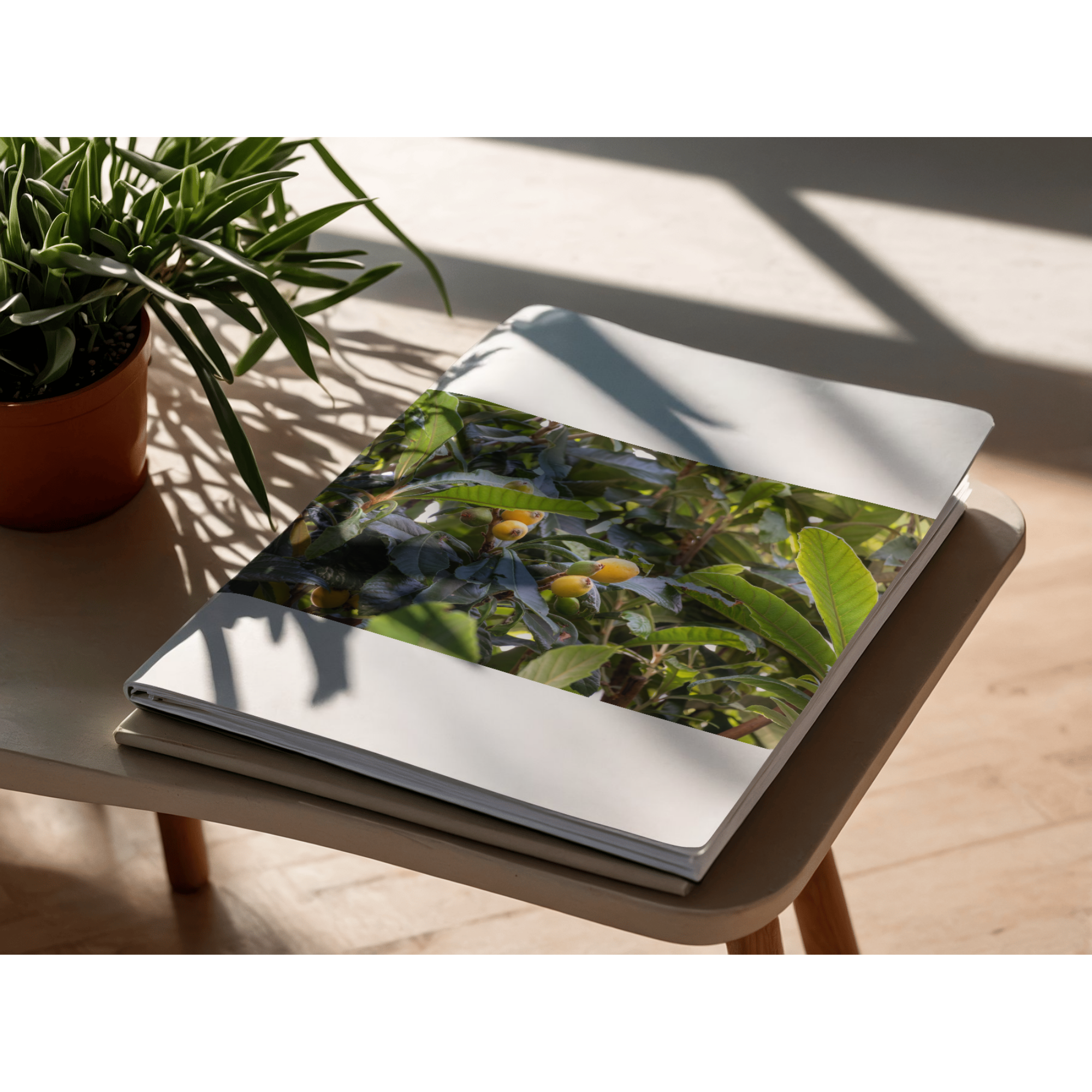 からだをじんわりほぐす、やさしい温もりの時間の写真